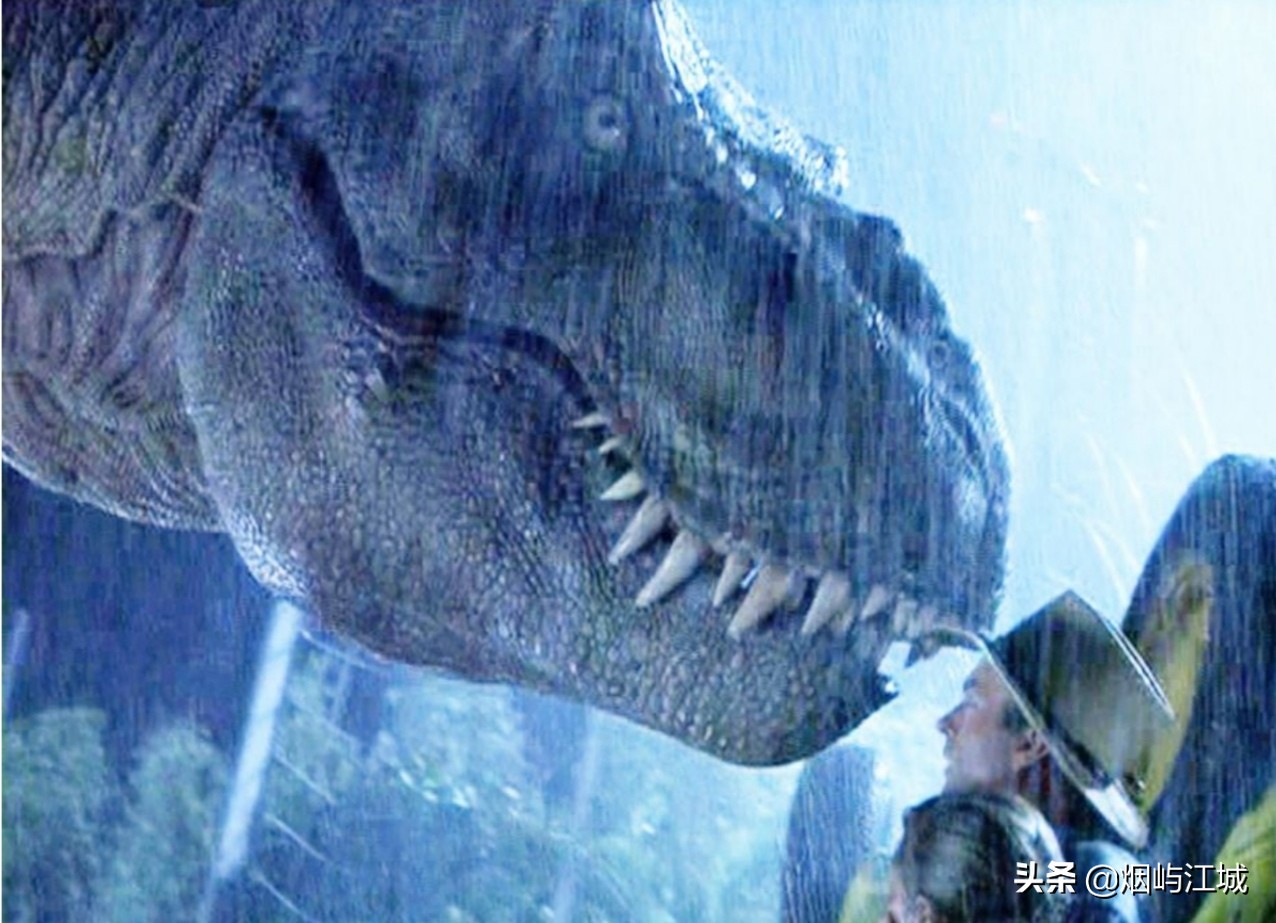 暴龙的形态,暴龙的不同形态