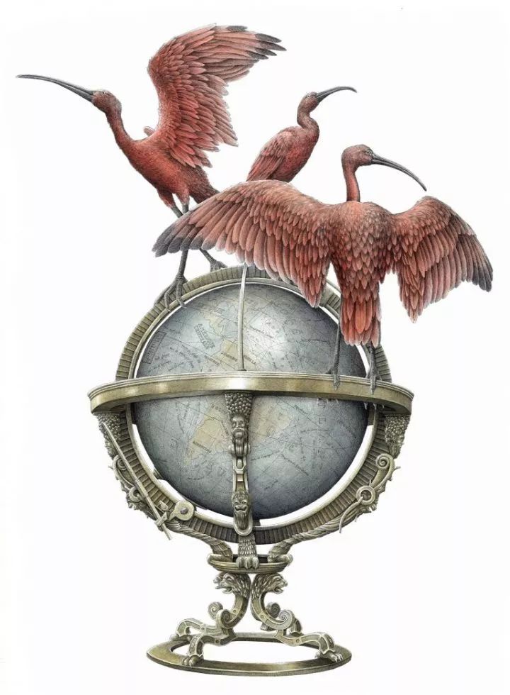 超好看的素描静物,超级惊艳的素描画