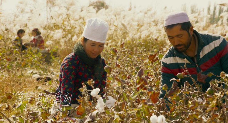 柏林苍穹下电影插曲,柏林苍穹下剧情解析