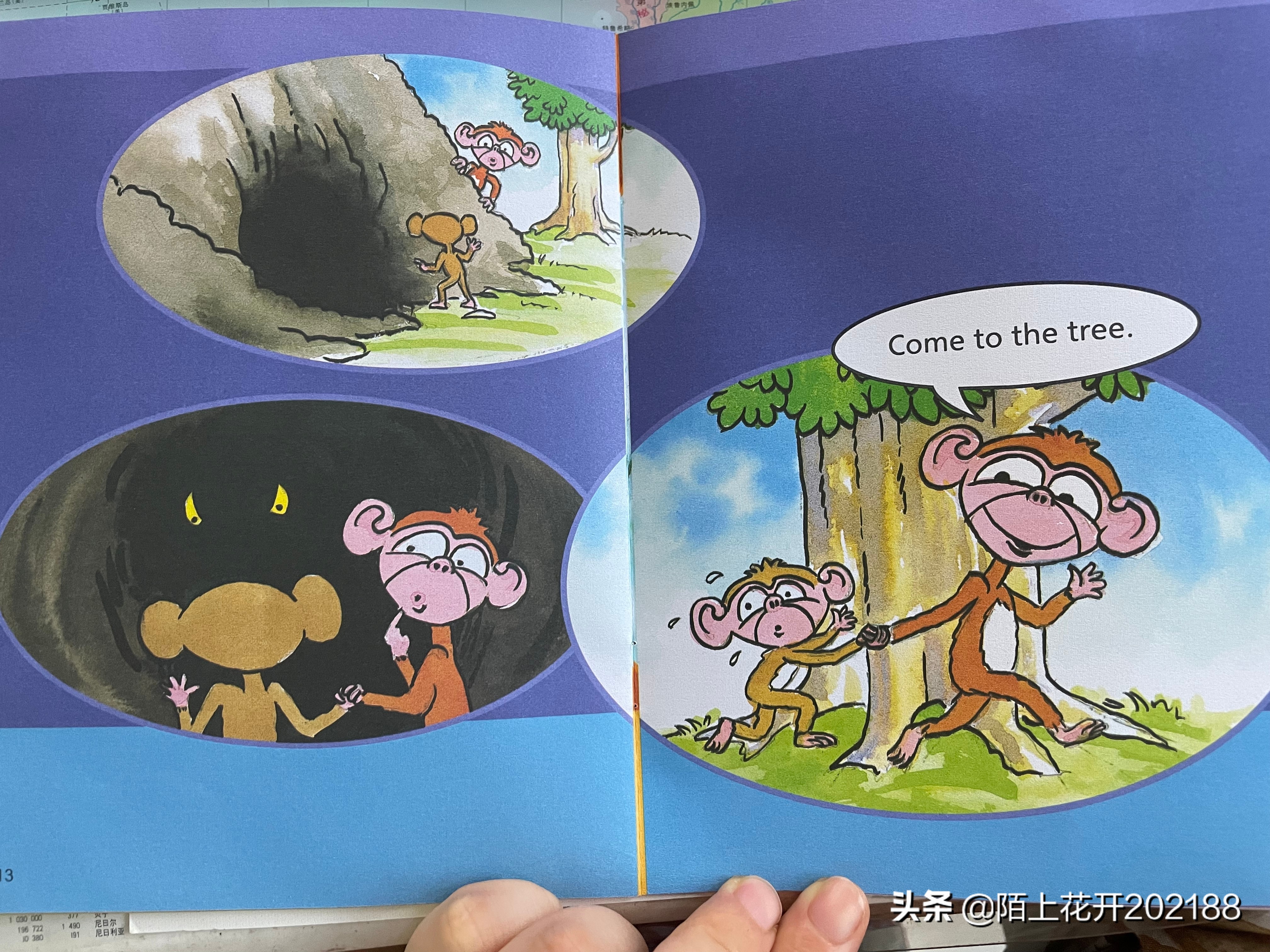 幼儿英语启蒙学习单词绘本,英语启蒙绘本4-6岁