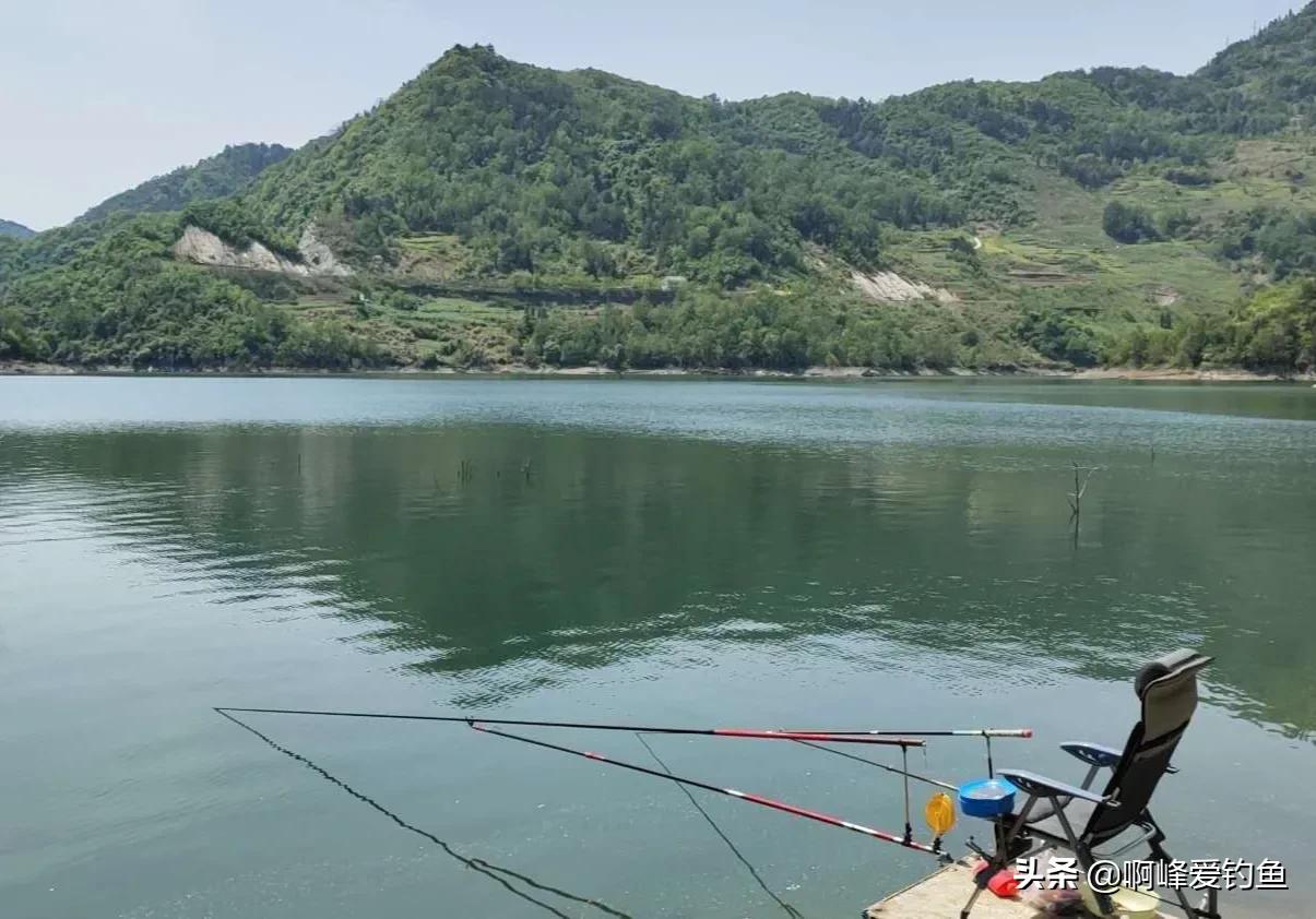 野钓如何钓底层鱼类最好,野钓怎么钓大个体鱼