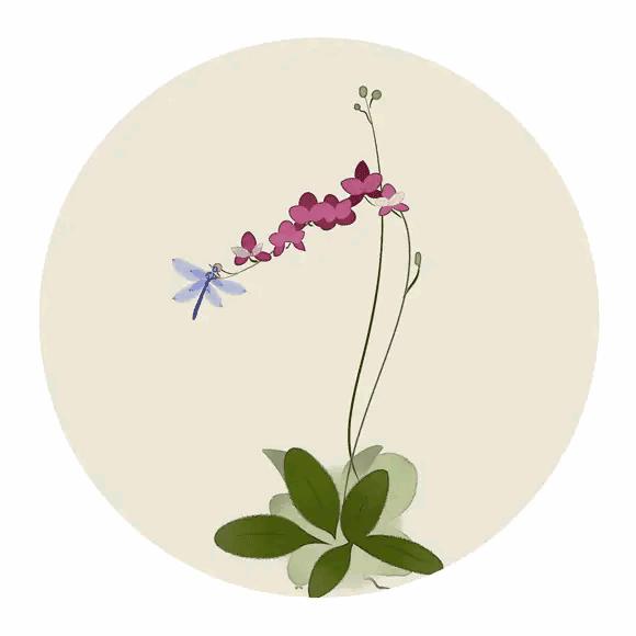 极富哲理的八首经典唐诗赏析合集,唐诗中最有哲理的十首诗