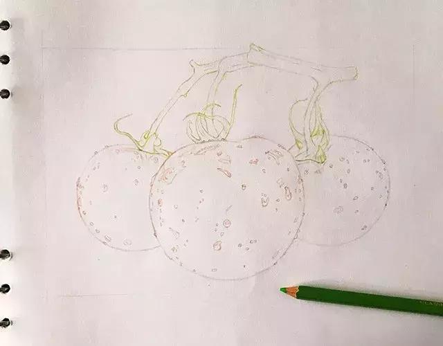 儿童彩铅画番茄,彩铅画写生番茄