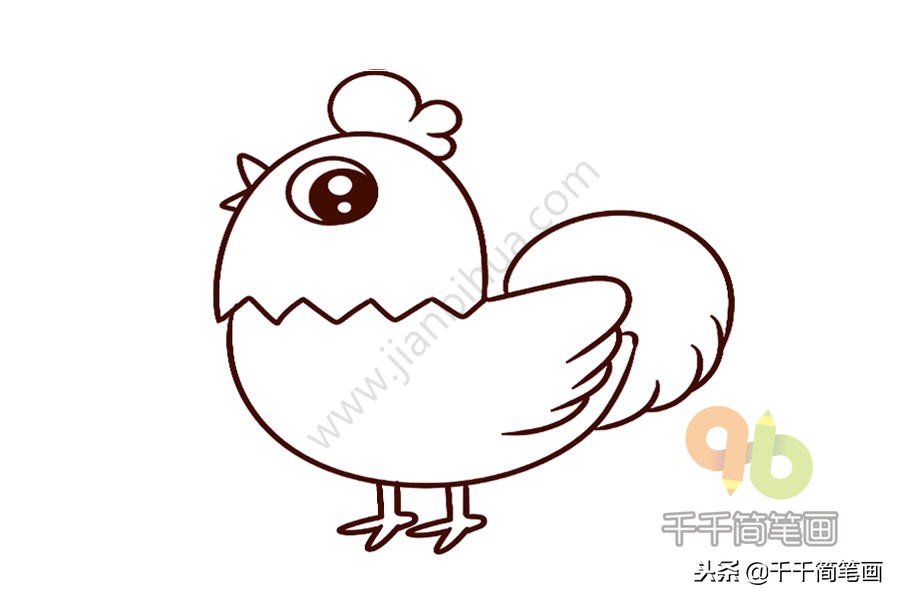 画大公鸡和小鸡的简笔画,大公鸡的多种简笔画