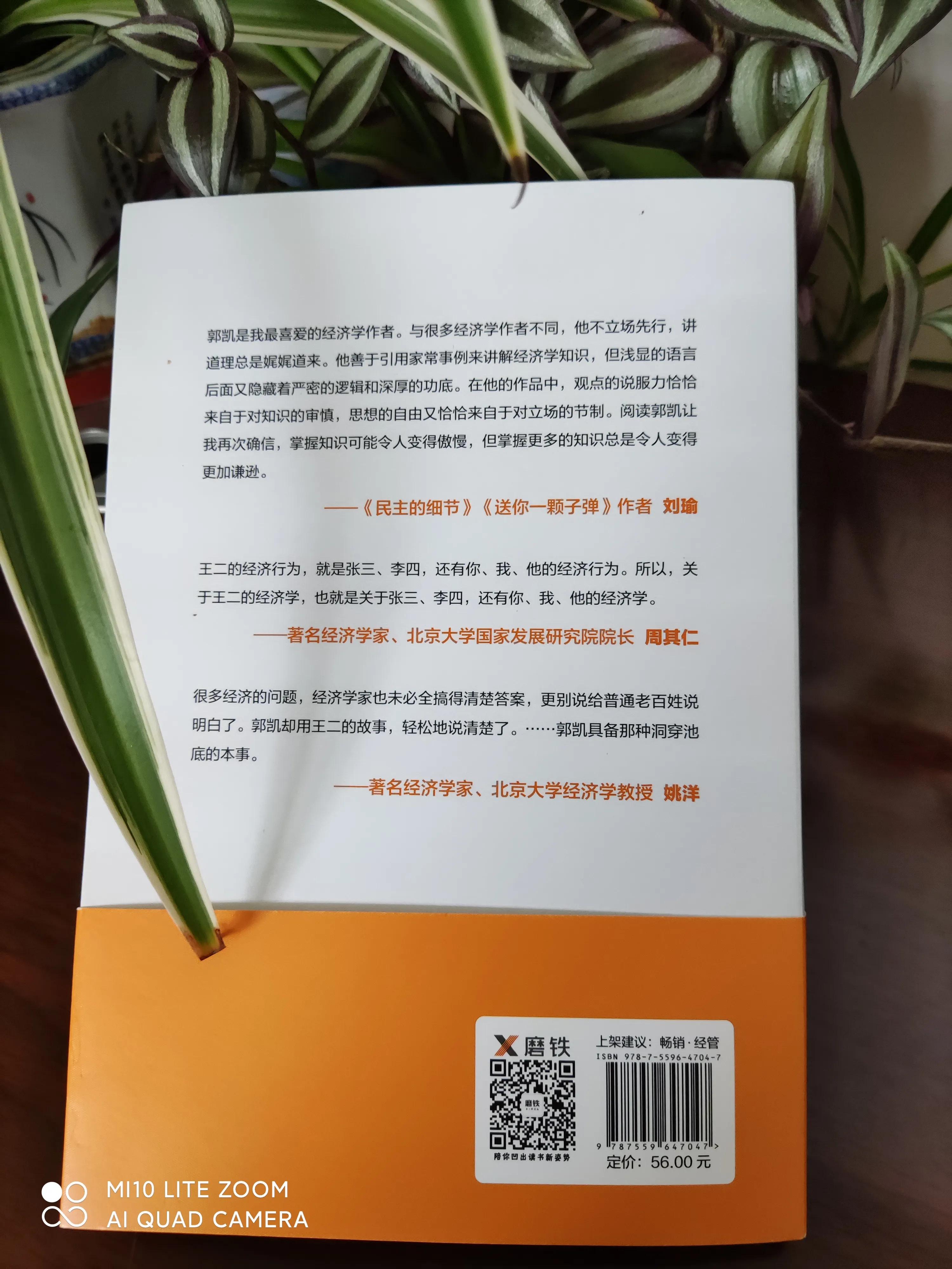 经济学十大原理分析经济现象,每个人的经济学这本书怎么样