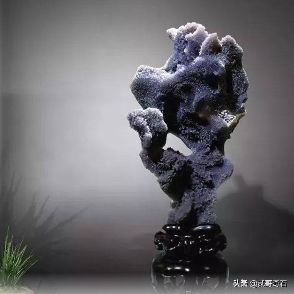 什么样的奇石好,什么样的奇石才值钱