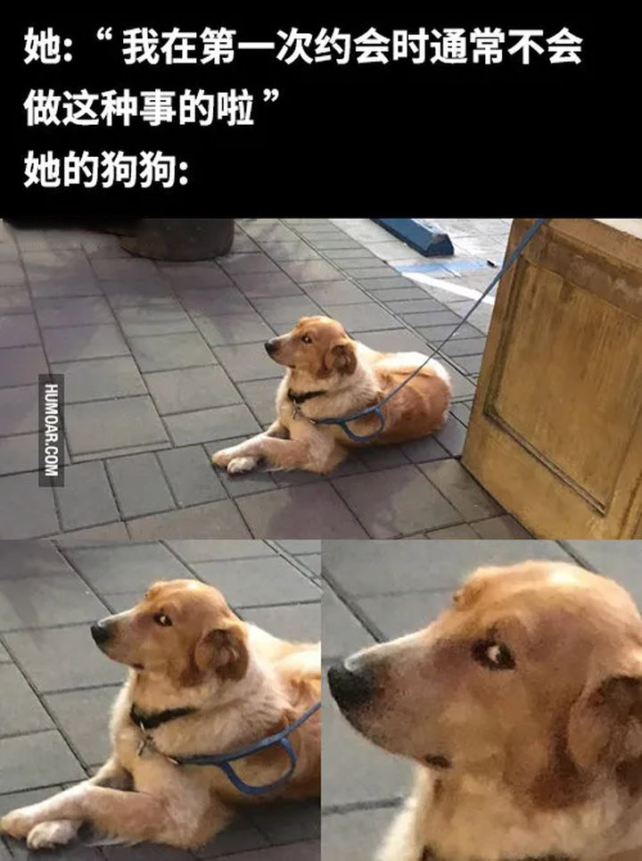 浣犳湁鍝簺璁╀汉绗戝埌鑲氬瓙鐤肩殑鎼炵瑧瀵硅瘽鍊煎緱鍒嗕韩,浣犳湁鍝簺璁╀汉绗戝埌鑲氬瓙鐤肩殑鎼炵瑧鍥剧墖