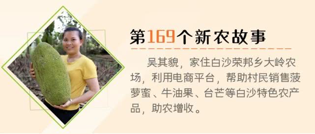 果肉饱满香甜浓郁白沙荣邦吴其貌线上销售菠萝蜜助农增收销路畅