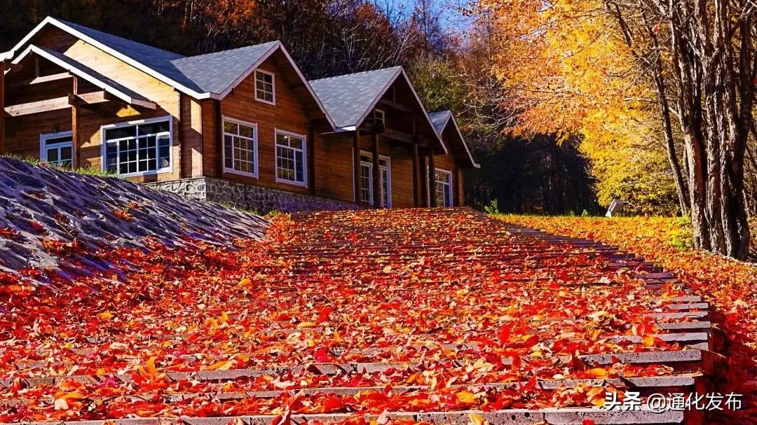 枫姿正好共赴一场云岭之约