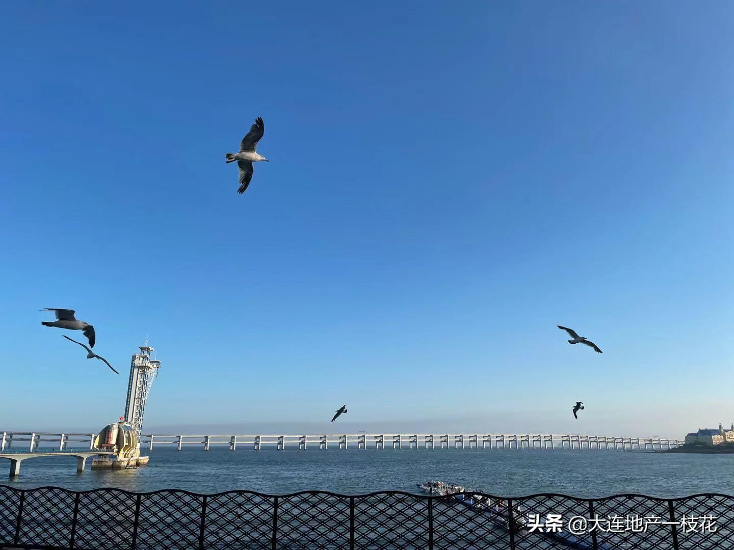 2014年前的大连星海,大连看星海