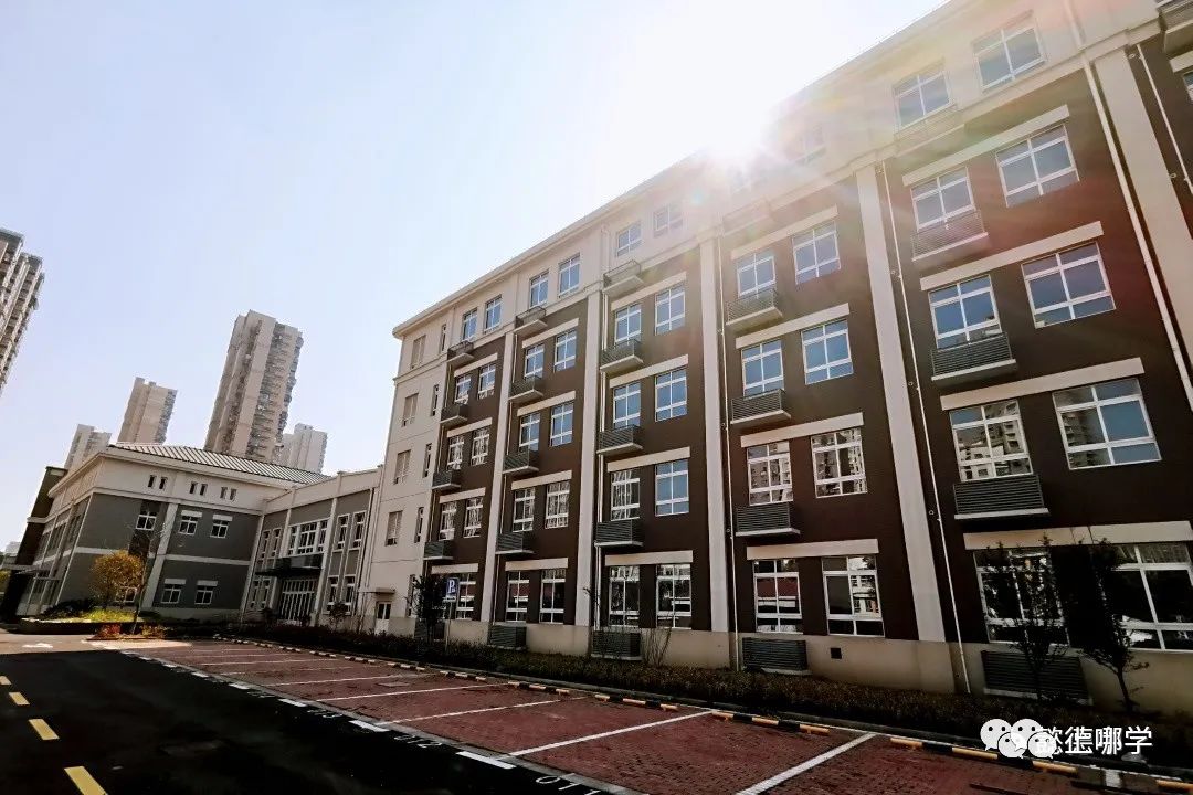 上海2020新增学位,上海各大学2024新增学位点