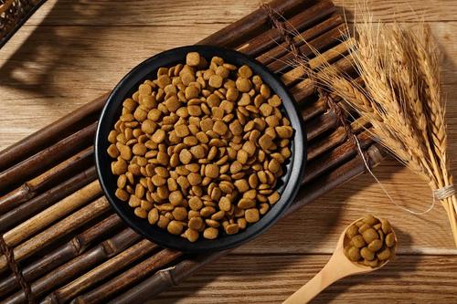 狗粮选什么牌子好,狗粮在网上怎么选
