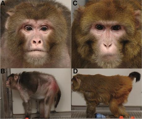 科学家吃不饱饭,科学家吃不上饭