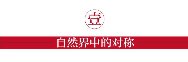 利用轴对称设计简单的图案,运用对称知识制作一幅作品