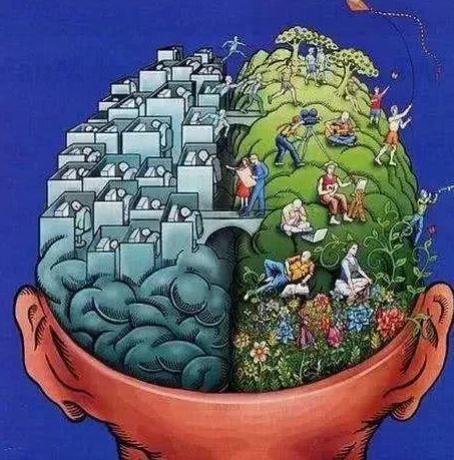 体育运动促进幼儿认知发展,体育运动对幼儿智力的开发及影响