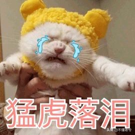 省钱不是抠门而是一种大智慧,省钱绝对不是在吃的方面省钱