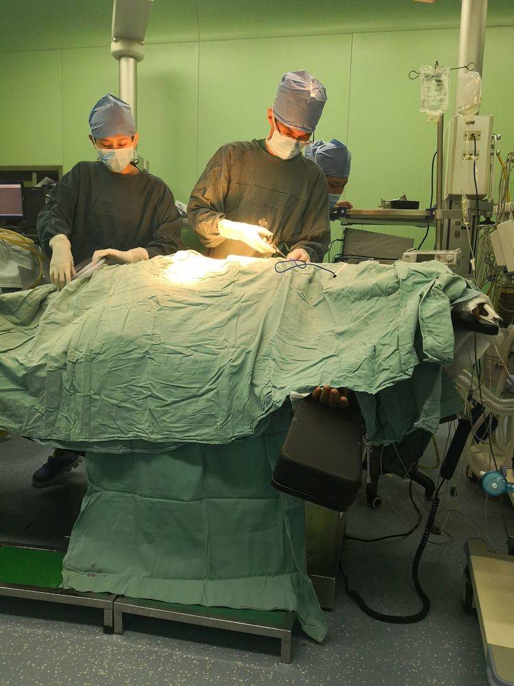 全国第27届泌尿外科学术会议,2024年全国泌尿外科年会