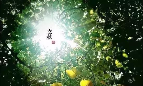 关于立秋的重要事,立秋关于立秋你知道多少