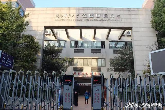 放飞海洋梦想感受丝路传奇手抄报,放飞海洋梦想感受丝路传奇研学题