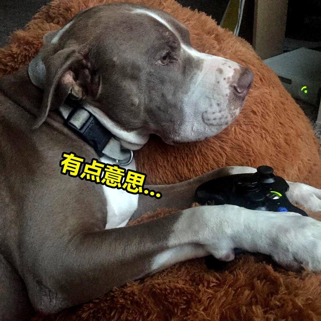 我的世界mc玩家们在池塘里养青蛙,我的世界养宠物模组推荐