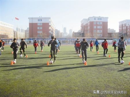 足球基本功的内容简介,欧洲足球青少年基本功