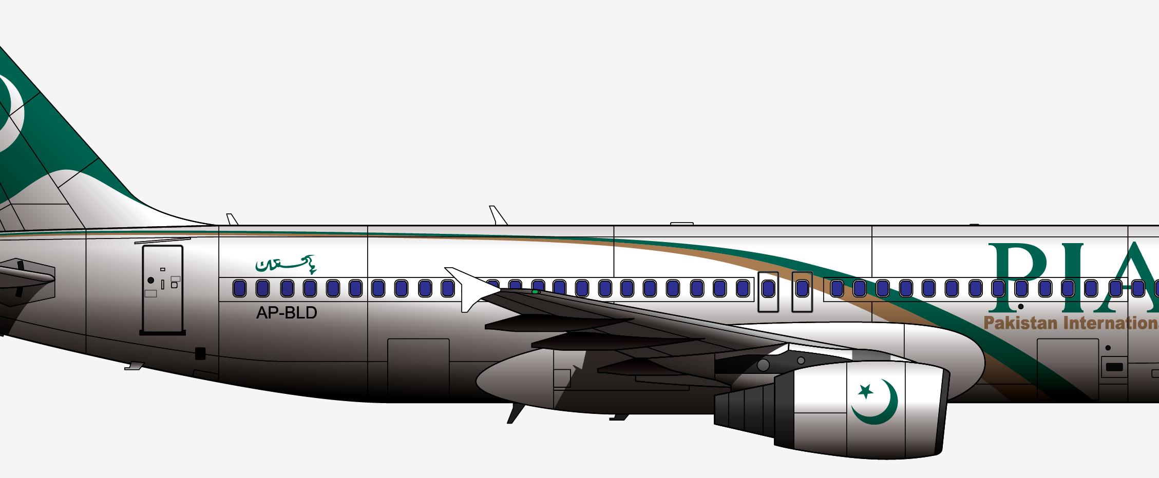 卡拉奇空难事件,巴基斯坦国际航空287号班机空难