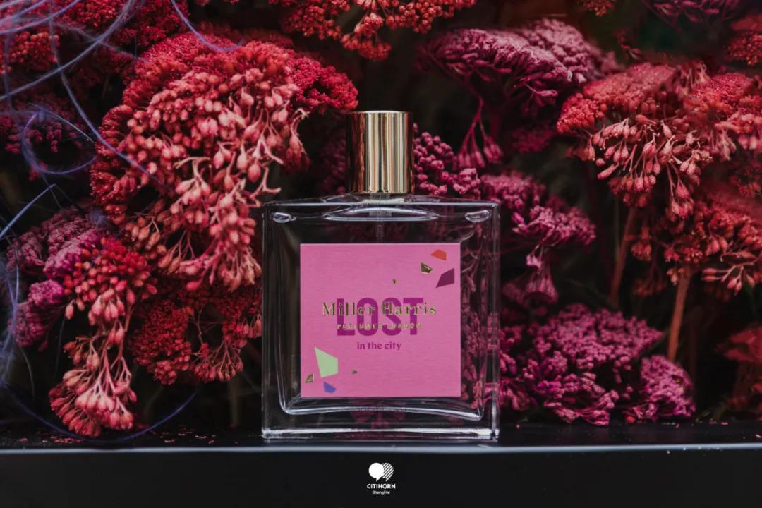 新天地空降一座“隐形”的气味花园，解锁伦敦气味密码