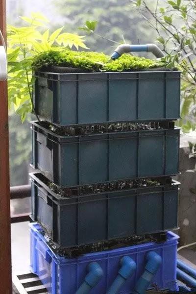 商铺顶露台怎么搭建不违法,顶楼露台改造鱼池