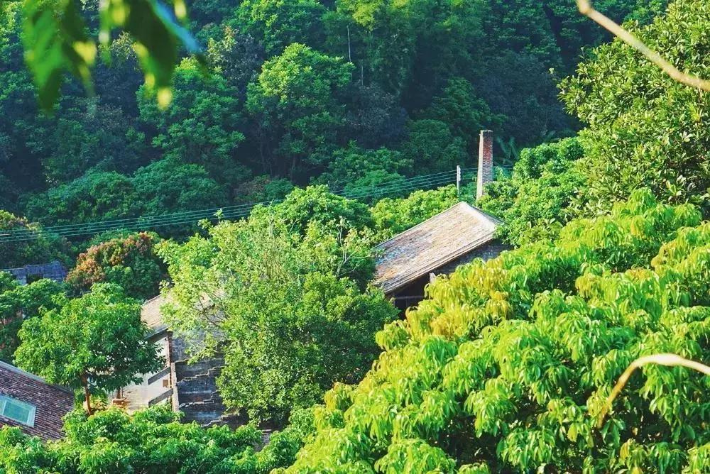 放弃世界顶尖银行工作,他回村当木匠,在废墟上盖出了爆美小院!