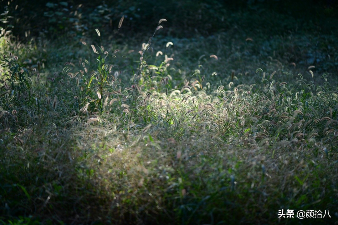 北京圆明园一日游推荐,圆明园秋色如画