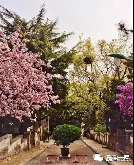 大连八七疗养院都谁住过,大连八七疗养院