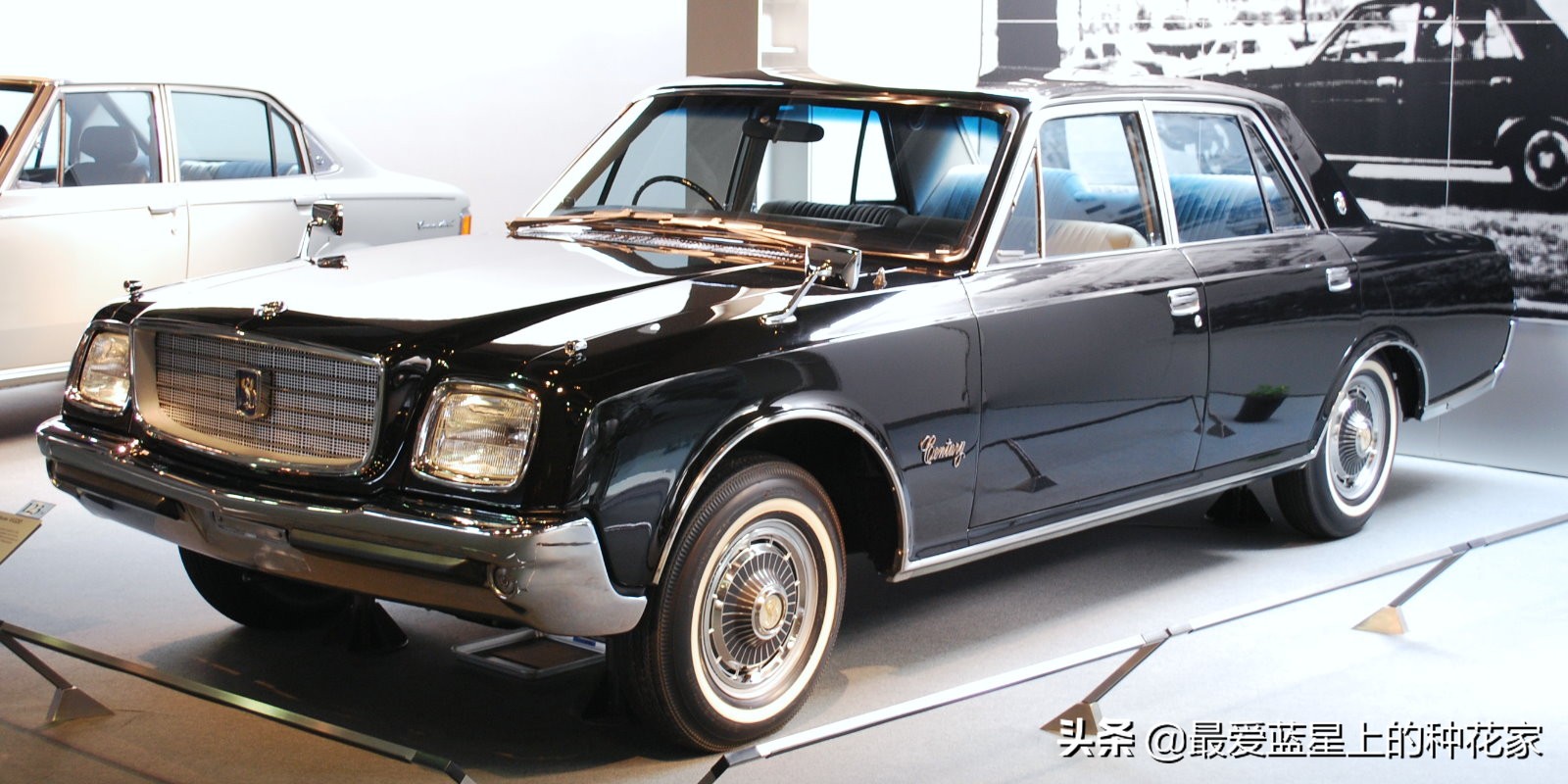 这款车到底是什么来头,这款车被誉为平民神车