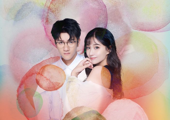 台湾明星被骗全部积蓄,台湾著名演员被骗