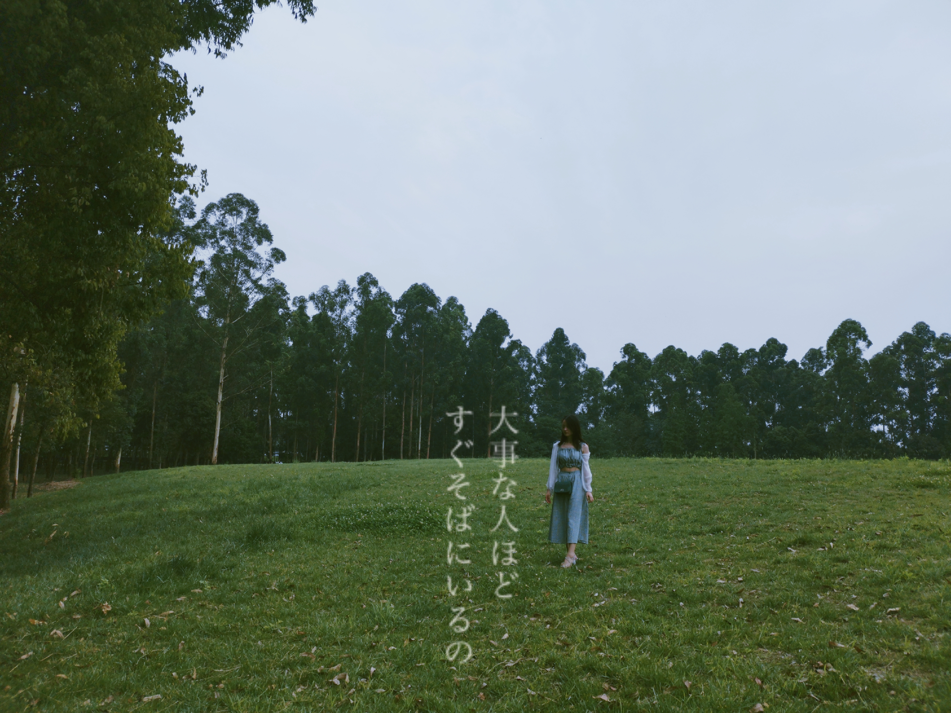 向日葵花海成都8月,成都向日葵花海几月有花