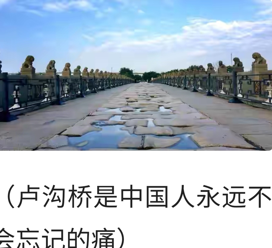 七七事变激起国人抗日救国,七七事变前联合抗日的会议