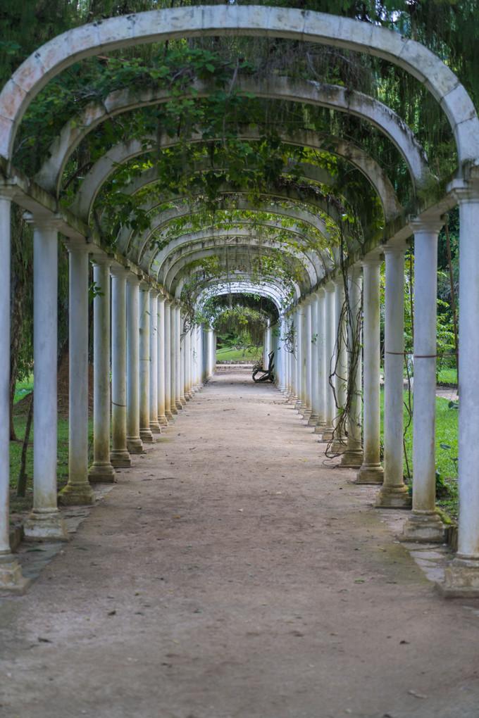 再次拥抱巴西，千万种风情想与你诉说,上）