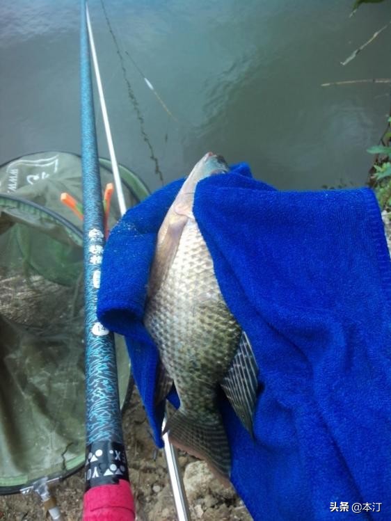 鏅編娓斿叿,鏅編楸艰偉