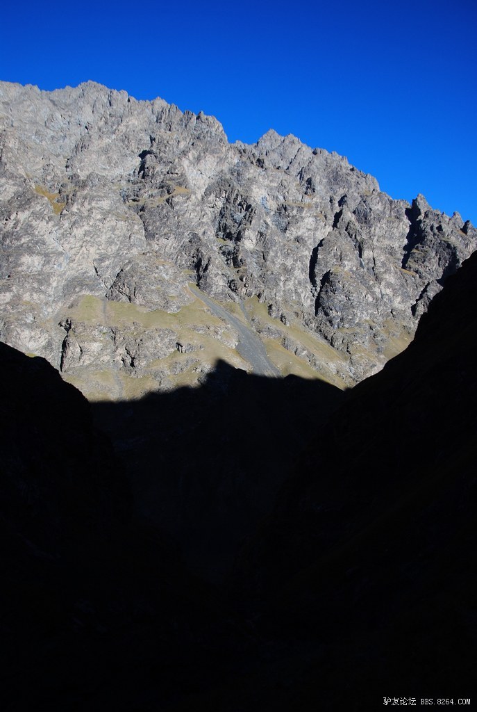 狼c调简谱教唱,狼c