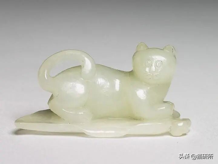 各种花色的猫在古代怎么称呼,猫咪在古代有哪些称呼呢