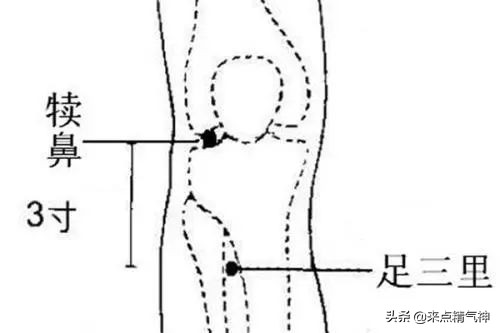 常用针灸52腧穴