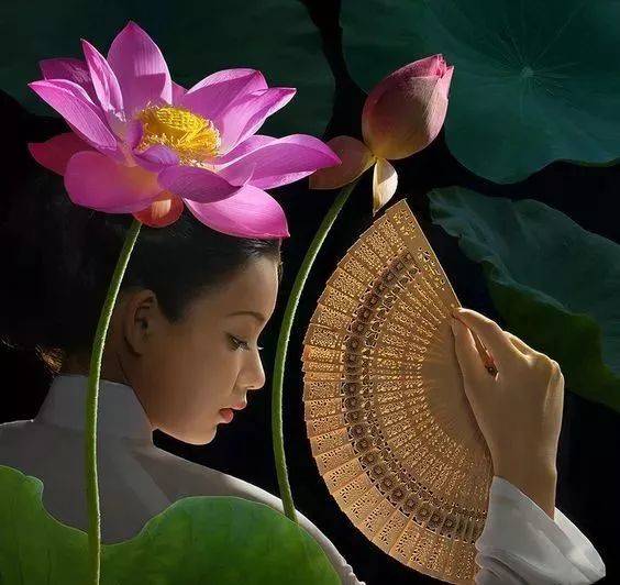 出淤泥而不染荷花之美,如果你是一朵出淤泥而不染的荷花