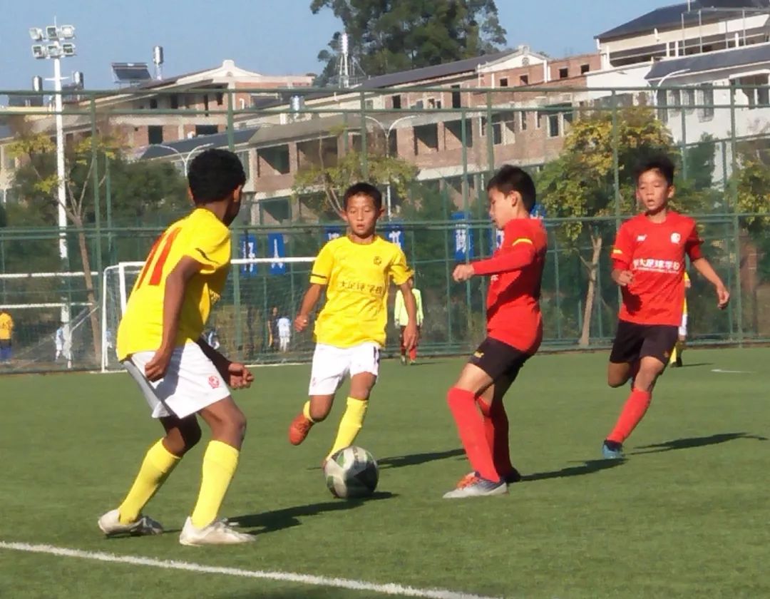 恒大足校狼虎队哪个好,恒大足校u12决赛