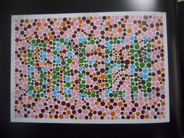 驾照换证体检能戴色盲眼镜吗,驾照体检用哪一版色盲检查图