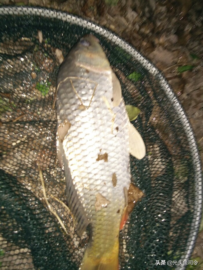 钓友买钓具,钓友买渔具最关心什么