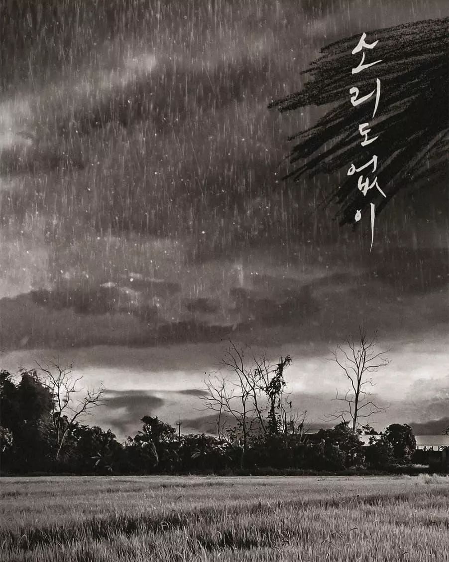 100部公认最好看的电影,100部最好电影