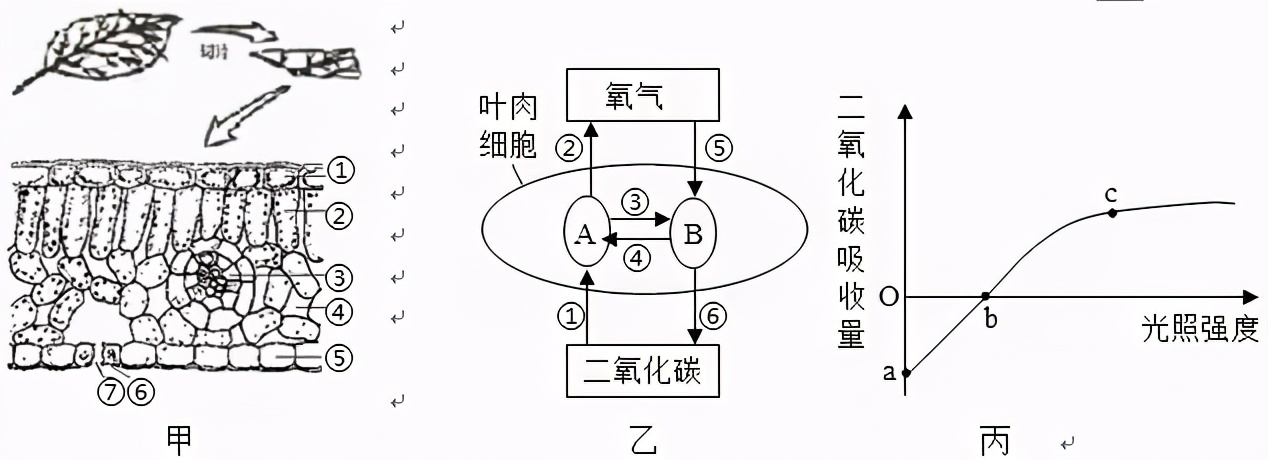 临沂2022生物会考答案,罗庄区生物一模试卷