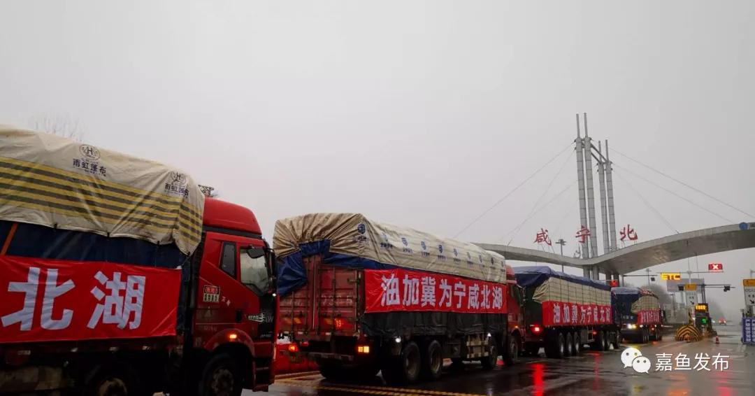 抗疫最新信息河北,嘉鱼最新防疫情况