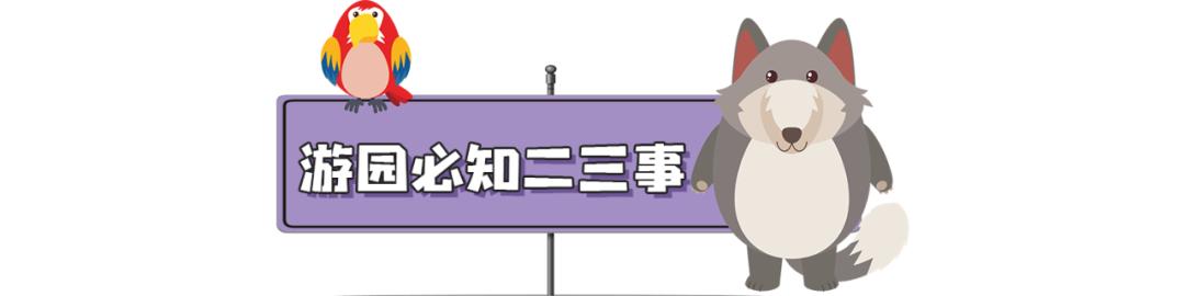 长隆飞鸟乐园怎么去长隆欢乐世界,汉溪长隆地铁站去长隆飞鸟乐园