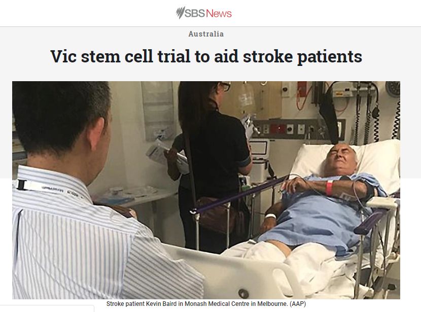 干细胞治疗脑中风后遗症最新消息,干细胞治疗脑中风多长时间有效啊