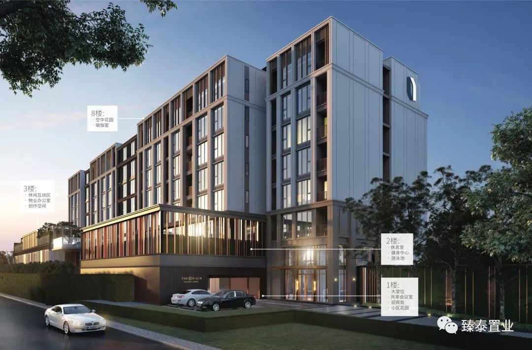 年轻生活！THEORIGIN拉差达性价比之王